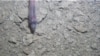 Deep Under Antarctic Ice Sheet, Life!