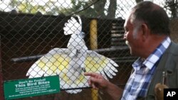 Gary Strafford, a Zimbabwean falconer, interacts with a parrot at his bird sanctuary, Kuimba Shiri, near Harare, Zimbabwe, June 17, 2020.