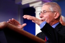 Dr. Anthony Fauci