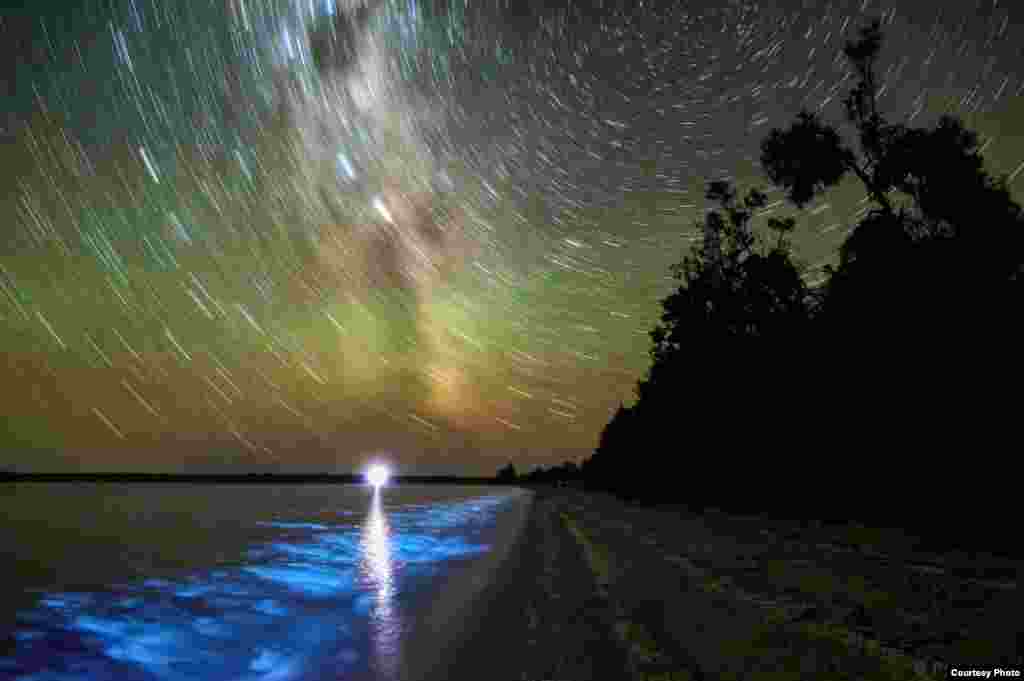 "Bioluminescence and Star Trails" by Phil Hart (www.philhart.com). (Courtesy: twanight.org/contest)