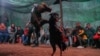 Breeding chickens is a common tradition among farming communities in Egypt. (H. Elrasam/VOA)