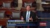 Seizing Senate Floor Brings Deal to Vote on Gun Reforms