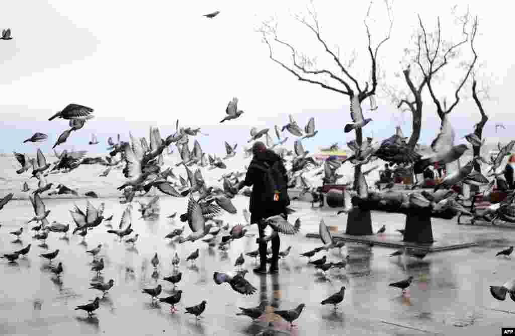 Seorang perempuan Turki memberi makan burung-burung merpati pada suatu hari hujan di kawasan Besiktas, Istanbul. 