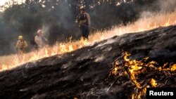 Firefighters work to dig a fire line on the Rocky Fire in Lake County, California July 30, 2015.