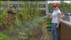 Kebun Terapung untuk Sayur dan Buah Warga New York