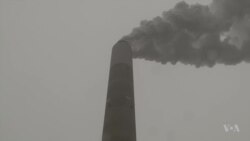 Trump Orders Review of Obama Climate Rule