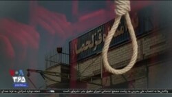 اخبار شامگاهی