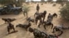 Diffa : le Niger décrète l'état d’urgence