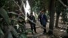 Danish Tourist Gang-raped, Beaten in New Delhi