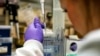 Researchers Find Clues on How Melanoma Resists Effective Treatments