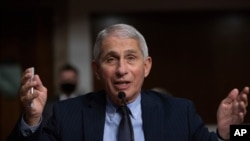 រូបឯកសារ៖ លោក​វេជ្ជបណ្ឌិត​ Anthony Fauci​ នាយក​វិទ្យាស្ថាន​ជាតិ​នៃ​ជំងឺ​​ឆ្លង​និង​អាឡែកស៊ី​​របស់​​សហរដ្ឋ​អាមេរិក​នៅក្នុងសវនាការព្រឹទ្ធសភានៅថ្ងៃទី ២៣ ខែកញ្ញាឆ្នាំ ២០២០ នៅទីក្រុងវ៉ាស៊ីនតោន។ (AP)