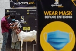 Yasir Iqbal (kiri), pengelola situs web yang menjual kambing melalui online kepada pelanggan, memeriksa gigi seekor kambing menjelang Iduladha, di sebuah peternakan di Pakistan, 22 Juli 2020. (Foto: dok).