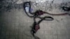 A bloodstained rope lies on the floor in the infamous Saydnaya military prison, just north of Damascus, Syria, Dec. 9, 2024. 