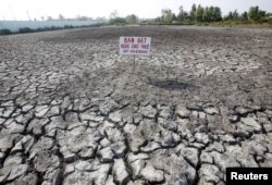 A sign which reads "Land for sale or for lease" is seen placed on a drought-affected rice field in Bac Lieu province