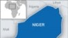 Niger Postpones Elections