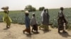 UN Gives Goats as Emergency Food Measure in Boko Haram-hit Nigeria