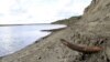Saving Wild Areas May Have Unexpected Results