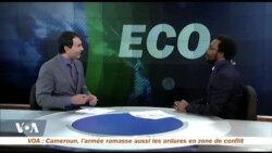 Le Figuier de Barabarie change la vie de tout un village