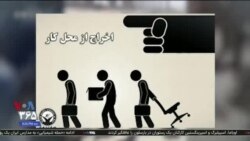 اخبار شامگاهی