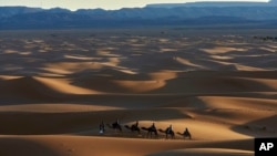 Tourists ride camels in Merzouga, Morocco along what is called the route of a thousand kasbahs in the Atlas Mountains, Sunday, March 5, 2017. 