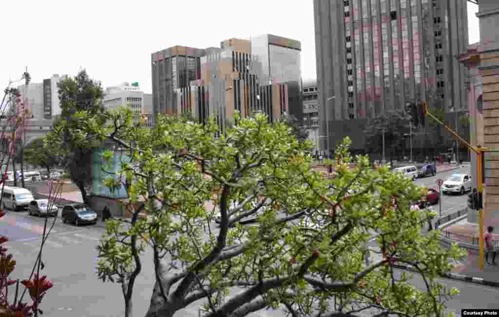Patrons of The Guildhall have a different view of Johannesburg's center in modern times. Photo by Darren Taylor