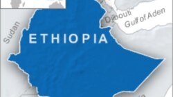 የኦሮሞ ነፃነት ሸማቂዎች