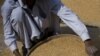 Food Prices Top G-20 Farm Ministers Meeting Agenda