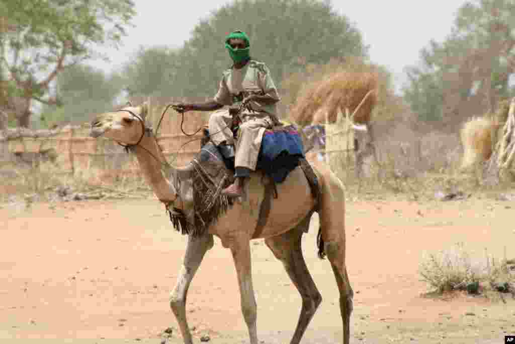 JANJAWEED Mounted horsemen from Sudan's feared paramilitary are primary suspects in the slaughter of up to 100 elephants far to the west in Mali and in Cameroon's Bouba Njida national park. A Darfur Arab nomad photographed in 2007 in Bindisi, Sudan, is believed to be a member of the furtive Janjaweed. 