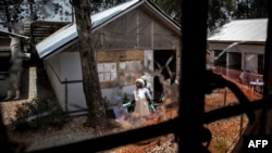 Pekerja kesehatan melihat dari lubang bekas tembakan di jendela sebuah pusat perawatan Ebola di Butembo, Republik Demokratik Kongo, 9 Maret 2019.