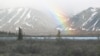 Human Impact Muffles Mother Nature's Voice