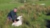 On Ireland's Border, Britain's EU Exit Threatens Jobs, Peace
