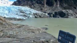 ABD'nin Alaska eyaletindeki Juneau kenti yakınındaki Mendenhall Buzulu, 2000 yılından 2020 yılına kadarki 20 yıllık süre içinde 2 milyar 800 milyon ton buz kaybetti.