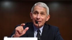 Dr Anthony Fauci