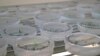 Gene-Edited Food Coming, But Will Shoppers Buy?