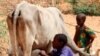 Thousands of Famine Victims in Somalia Abandoning Farms