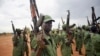 Des soldats de l’armée sud-soudanaise lèvent leurs armes lors d'une cérémonie à Juba, Soudan du Sud, 7 avril 2016.