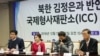전문가들 “북한 상황 ICC 제소 쉽지 않아…대안 검토해야”