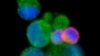 16x9 Image