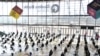 COVID-19 Outbreak in Australia Worsens  