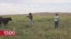 Može li "fini političar iz Nebraske" pobijediti ruralnu Ameriku?