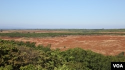 រូបឯកសារ៖ ដី​វាល​ ក្រោយ​ត្រូវ​បានកាប់​ឆ្ការសម្រាប់​ដាំ​ដំណាំ​ នៅ​ស្រុកអណ្តូងមាស ក្នុង​ខេត្ត​រតនគិរី​ កាល​ពី​ថ្ងៃ​ទី​៣​ ខែ​ធ្នូ​ ឆ្នាំ​២០១៥។​ (នូវ​ ពៅ​លក្ខិណា​/VOA)​​