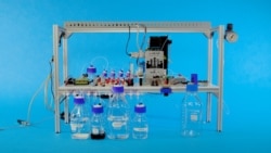 Quiz - Can DNA Be Used to Store the World’s Computer Data?