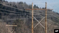 The Burlington Electric Department says it has found malware linked to Grizzly Steppe, the Homeland Security name for the Russian campaign linked to recent hacks.