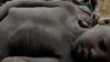 13 Die of Hunger in South Sudan State