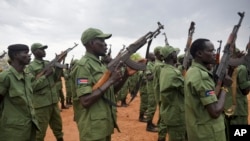 FILE - South Sudanese rebel soldiers raise their weapons at a military camp in the capital Juba, South Sudan, April 7, 2016. First Vice President Riek Machar returned with a large group of his heavily armed followers. Observers say South Sudan's new transitional government exists in a sea of weapons brandished by both sides.
