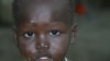 Trachoma is transmitted through flies. Flies like to land on human faces and feed off of the discharges from the eyes and nose. 