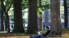 Humanities Fight to Survive in High-Tech World
