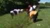 Urban Forest Grows in Small US Town