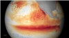 WMO: World Weather Warmest on Record
