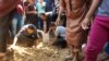 នាយក​ការិយាល័យ​សិទ្ធិ​មនុស្ស​នៃ​អង្គការ​សហប្រជាជាតិ​ថា​កាហ្សា​គឺ​ជា​តំបន់ពោរ​ពេញ​ដោយ​ភាព​វឹកវរ​